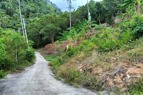 Land for sale in Maret, Surat Thani