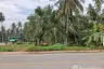 Land for sale in Bang Nam Chuet, Chumphon