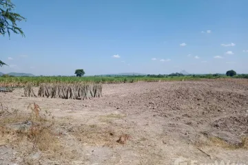 Land for sale in Nong Makha, Lopburi