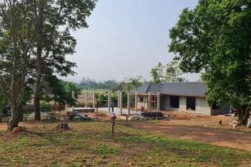 Land for sale in Huai Sak, Chiang Rai