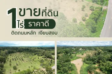 Land for sale in Fai Kaeo, Nan