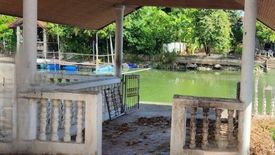 4 Bedroom House for sale in Tararin Village, Prachathipat, Pathum Thani