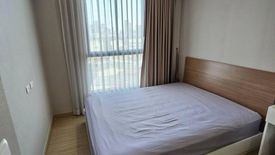 1 Bedroom Condo for rent in The Tree Onnut Station, Bang Chak, Bangkok near BTS On Nut