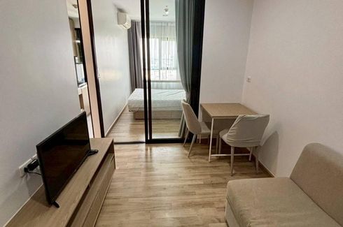 1 Bedroom Condo for rent in NICHE MONO Sukhumvit - Bearing, Bang Na, Bangkok near BTS Bearing