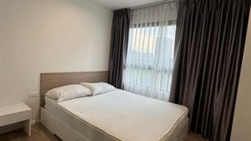 1 Bedroom Condo for rent in iCondo Activ Phattanakan, Suan Luang, Bangkok