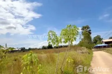 Land for sale in Wang Thong, Phitsanulok
