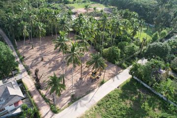 Land for sale in Taling Ngam, Surat Thani