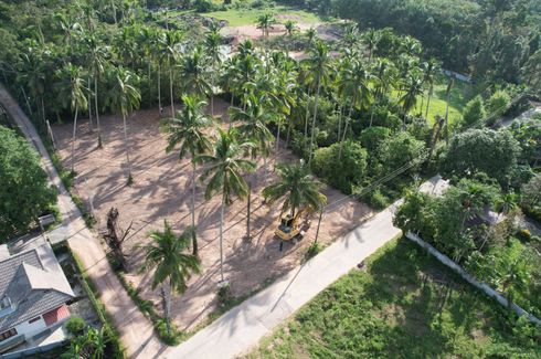 Land for sale in Taling Ngam, Surat Thani