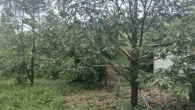 Land for sale in Mae Nam, Surat Thani