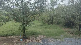 Land for sale in Mae Nam, Surat Thani