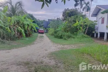 Land for sale in Mae Nam, Surat Thani