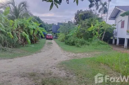 Land for sale in Mae Nam, Surat Thani