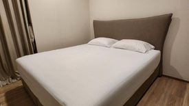 2 Bedroom Condo for rent in Taka Haus Ekamai 12, Khlong Tan Nuea, Bangkok near BTS Ekkamai