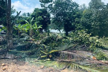 Land for sale in Taling Ngam, Surat Thani