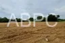 Land for sale in Nong Prue, Chonburi