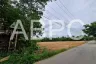 Land for sale in Nong Prue, Chonburi