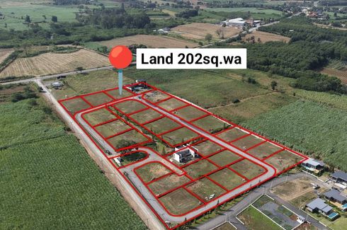 4 Bedroom Land for sale in Khlong Muang, Nakhon Ratchasima