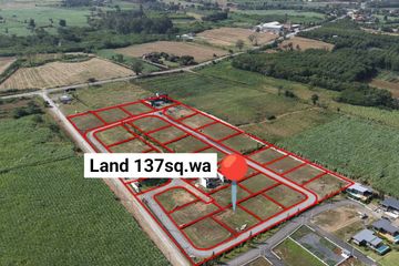 3 Bedroom Land for sale in Khlong Muang, Nakhon Ratchasima