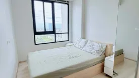 1 Bedroom Condo for rent in Nue Noble Srinakarin - Lasalle, Samrong Nuea, Samut Prakan near MRT Si La Salle