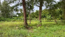 Land for sale in Choeng Thale, Phuket