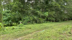 Land for sale in Choeng Thale, Phuket