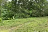 Land for sale in Choeng Thale, Phuket