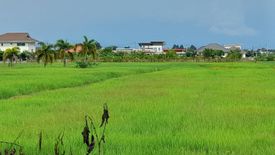 Land for sale in Mueang Kaeo, Chiang Mai