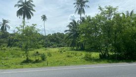 Land for sale in Mai Khao, Phuket