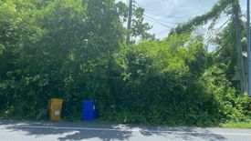 Land for sale in Mai Khao, Phuket