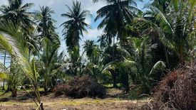 Land for sale in Maret, Surat Thani