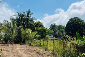 Land for sale in Maret, Surat Thani