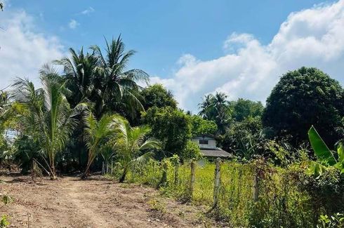 Land for sale in Maret, Surat Thani