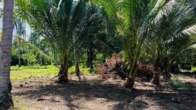 Land for sale in Maret, Surat Thani