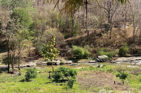 Land for sale in Ban Luang, Chiang Mai