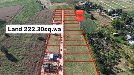 Land for sale in Khlong Muang, Nakhon Ratchasima