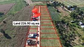 Land for sale in Khlong Muang, Nakhon Ratchasima