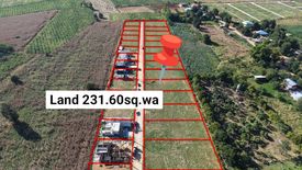 Land for sale in Khlong Muang, Nakhon Ratchasima