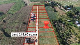 Land for sale in Khlong Muang, Nakhon Ratchasima