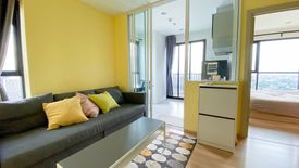 1 Bedroom Condo for rent in The Base Rama 9 - Ramkhamhaeng, Hua Mak, Bangkok near MRT Ramkhamhaeng 12