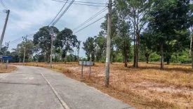 Land for sale in Taling Ngam, Surat Thani