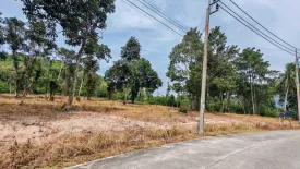 Land for sale in Taling Ngam, Surat Thani