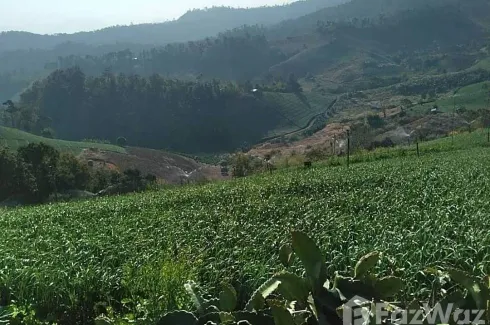 Land for sale in Mae Na Toeng, Mae Hong Son