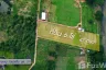 Land for sale in Wang Dong, Kanchanaburi