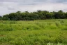 Land for sale in Khanong Phra, Nakhon Ratchasima