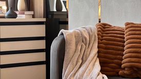 1 Bedroom Condo for rent in Miti Chiva Kaset Station, Sena Nikhom, Bangkok near BTS Kasetsart University