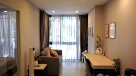 1 Bedroom Condo for rent in Palm Springs Nimman Areca, Suthep, Chiang Mai