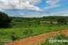 Land for sale in Mae Khao Tom, Chiang Rai