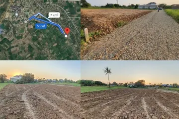 Land for sale in Wat Phrik, Phitsanulok