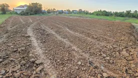 Land for sale in Wat Phrik, Phitsanulok