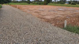 Land for sale in Wat Phrik, Phitsanulok